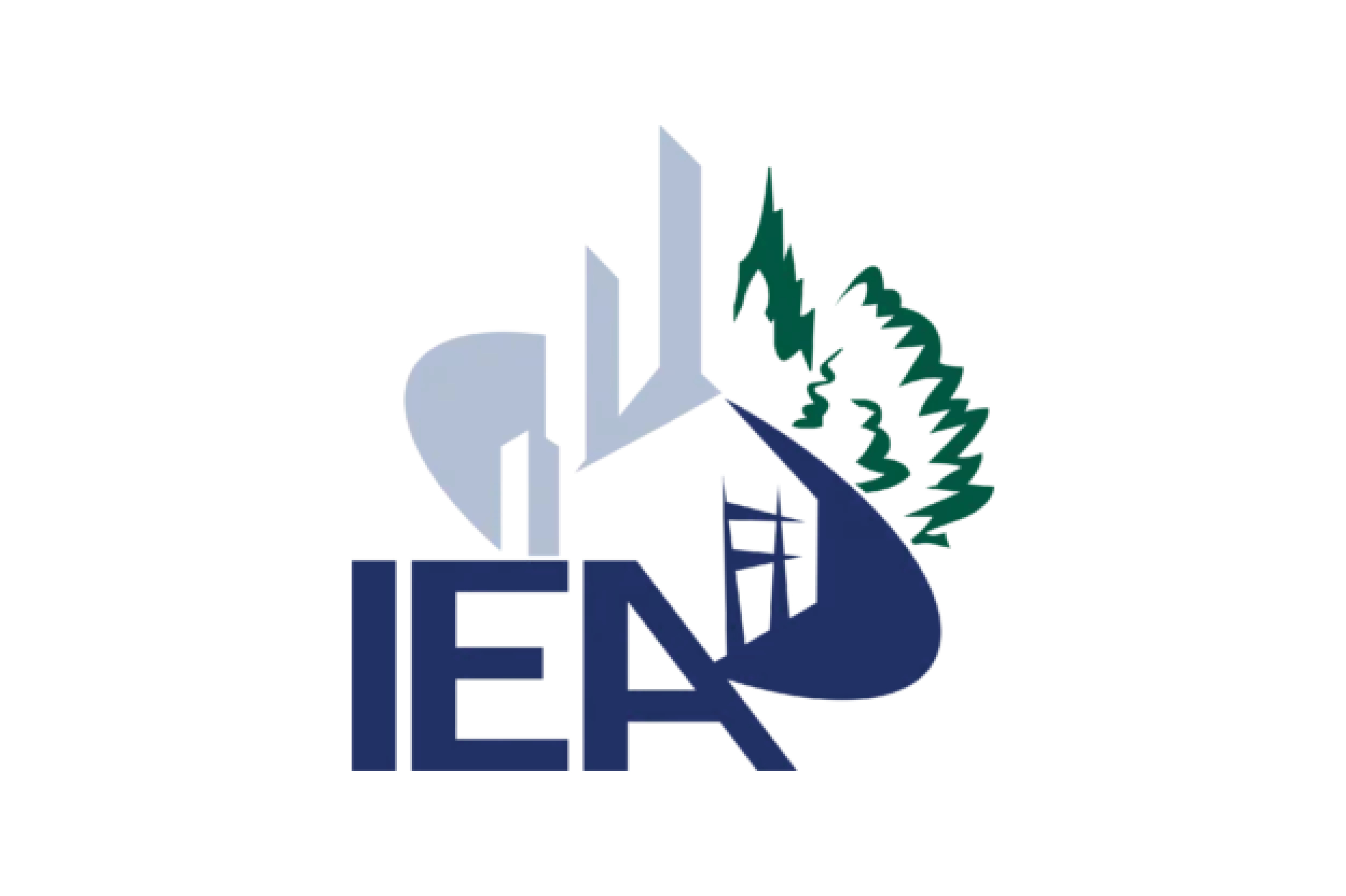 logo for Institute for Environmental Assessment